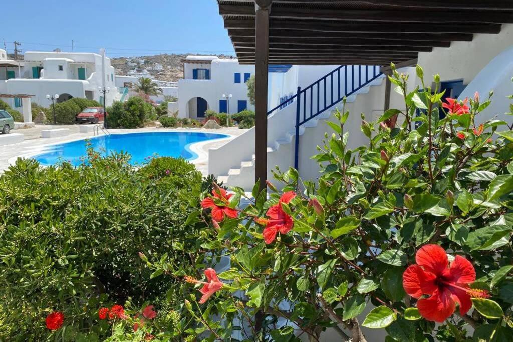 Pigeon House Ornos Beach Mykonos Town Zewnętrze zdjęcie