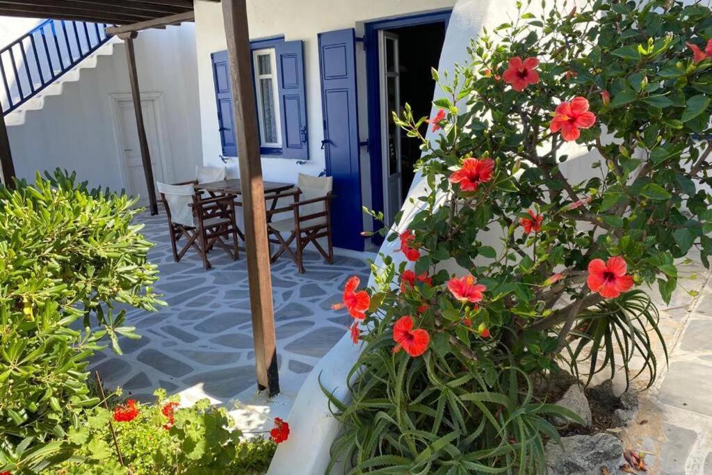 Pigeon House Ornos Beach Mykonos Town Zewnętrze zdjęcie